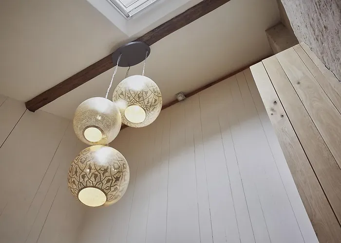 De Zwarte Ruiter אורחן 2*